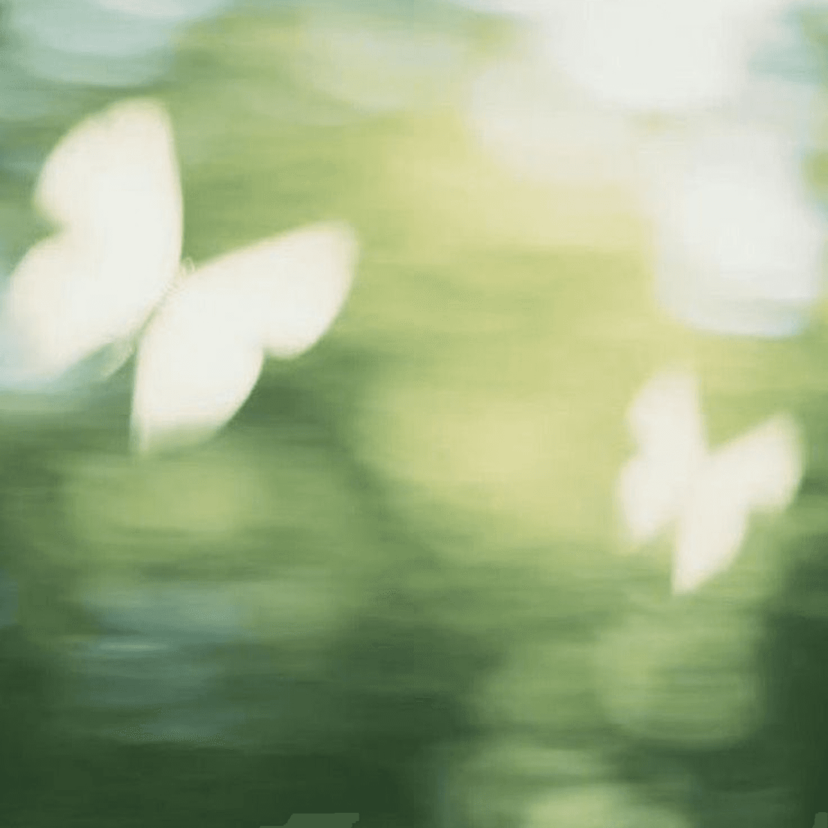 A soft, dreamy blur of two pale white butterflies drifting over green water.