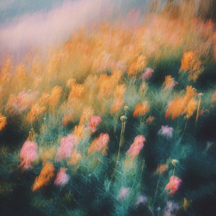 A soft, dreamy blur of a wildflower meadow in orange, pink, and teal, swaying in the wind.