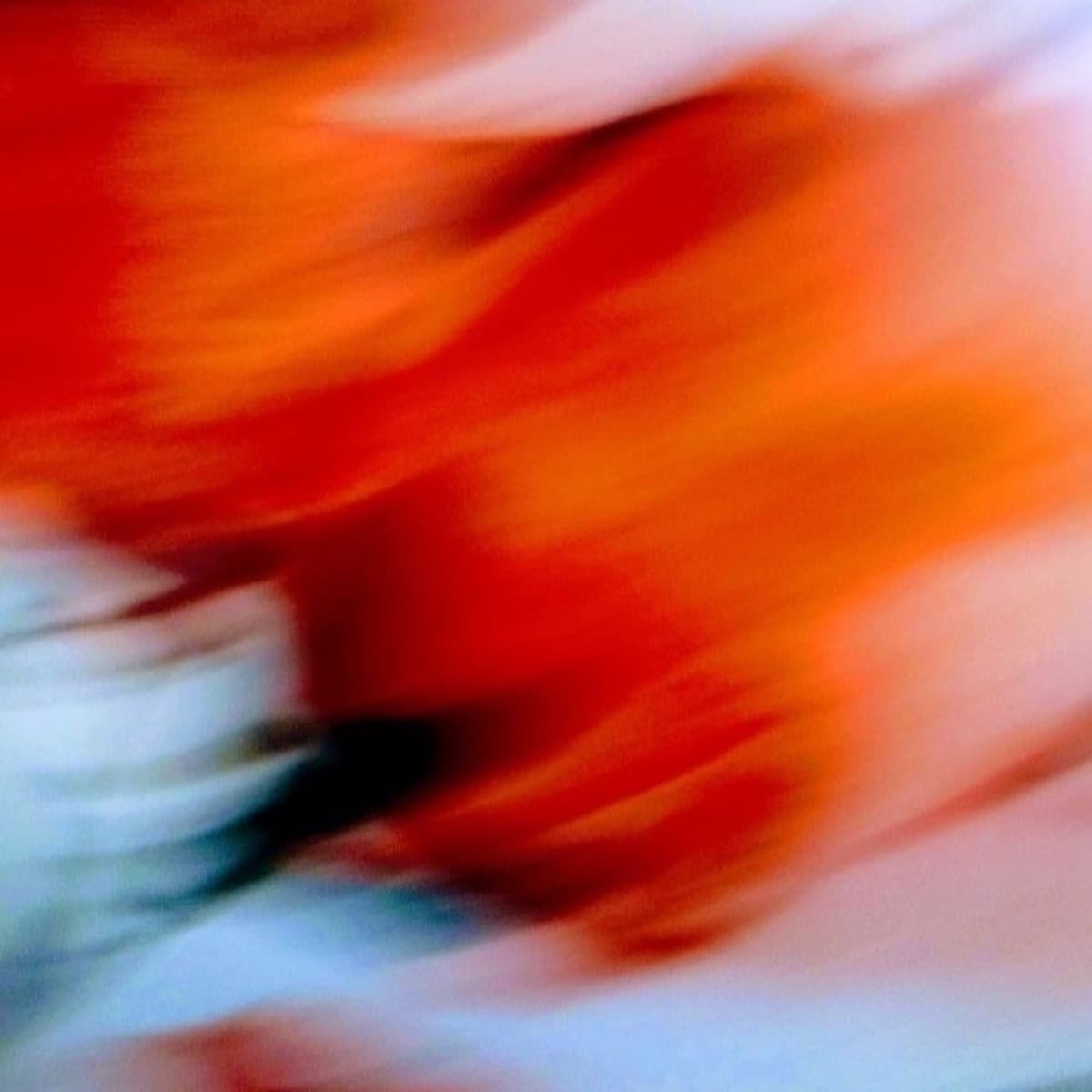 An abstract blur of warm red and orange tones in motion.